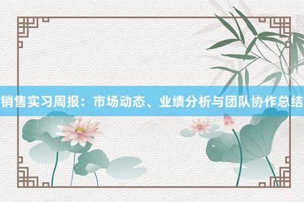 销售实习周报：市场动态、业绩分析与团队协作总结